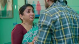 Paluke Bangaramayana S01 E761 Hasini's Insistence on Shiva
