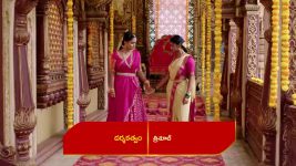 Renuka Yellamma (Star Maa) S01 E810 Renuka, Yellamma's Wild Suspicions