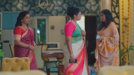 Salangai Oli (Zee Tamil) S01 E330 24th February 2026