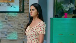 Annapoorna S01 E1082 19th February 2026