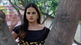 Annapoorna S01 E1083 20th February 2026