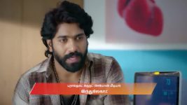 Chinnan Siru Kiliye S01 E177 24th March 2026