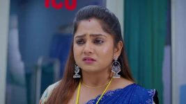 Chinni (Star Maa) S01 E540 Chinni Stands Up to Nagavalli