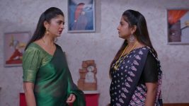 Chinni (Star Maa) S01 E542 Deva, Nagavalli Plot against Chinni