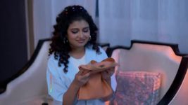 Grihoprobesh (Star Jalsha) S01 E444 Soumya and Shree Grow Closer