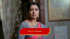 Illu Illalu Pillalu (Star Maa) S01 E426 Prema, Narmada Trouble Srivalli