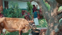 Lakshmi Raave Maa Intiki S01 E66 23rd March 2026