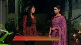 Nindu Noorella Saavasam S01 E801 2nd February 2026