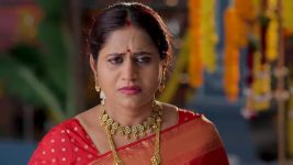 Nuvvu Leka Nenu Lenu S01 E56 Radha, Vikram Tie the Knot