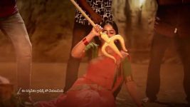Padamati Sandhyaragam S01 E1113 12th March 2026