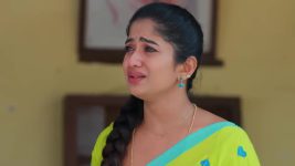 Padamati Sandhyaragam S01 E1115 14th March 2026