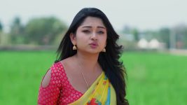 Padamati Sandhyaragam S01 E1117 17th March 2026
