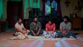 Podarillu S01 E77 A Plea to Stay