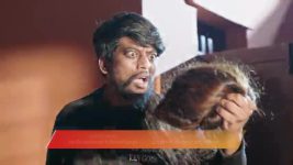 Shravani Subramanya S01 E535 4th March 2026