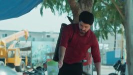 Chamanthi (Zee Telugu) S01 E355 14th February 2026