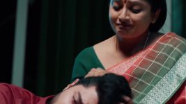 Chamanthi (Zee Telugu) S01 E356 16th February 2026