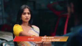 Gattimelam S01 E340 10th March 2026