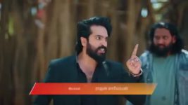 Gattimelam S01 E342 12th March 2026