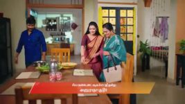 Gattimelam S01 E353 25th March 2026