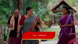 Illu Illalu Pillalu (Star Maa) S01 E411 Vedawathi's Ignorance Hurts Narmada