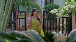Illu Illalu Pillalu (Star Maa) S01 E425 Vedawathi's Shocking Discovery
