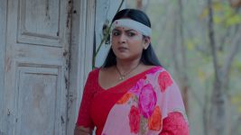 Intinti Ramayanam (Star Maa) S01 E541 Will Avani Find Meenakshi?