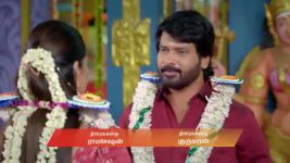 Karthigai Deepam S01 E1153 17th March 2026
