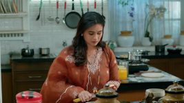 Lagnanantar Hoilach Prem S01 E446 Ramya's Wedding Scheme