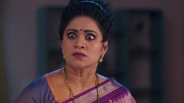 Meghasandesam (Zee Telugu) S01 E541 30th January 2026