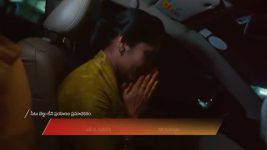 Meghasandesam (Zee Telugu) S01 E544 3rd February 2026