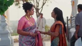 Meghasandesam (Zee Telugu) S01 E554 14th February 2026