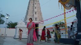 Meghasandesam (Zee Telugu) S01 E560 21st February 2026