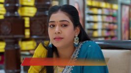 Meghasandesam (Zee Telugu) S01 E562 24th February 2026