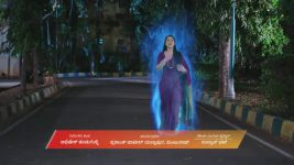 Naa Ninna Bidalaare (Zee Kannada) S01 E268 4th February 2026