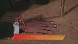 Naa Ninna Bidalaare (Zee Kannada) S01 E269 5th February 2026