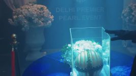 Naagin (Colors tv) S07 E27 Ahana Unmasks Pinky's Fiancé