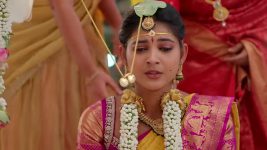 Nuvvu Leka Nenu Lenu S01 E57 Padma's Apprehension for Radha