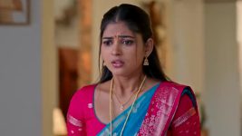 Nuvvu Leka Nenu Lenu S01 E66 Vikram's Playful Moment