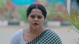 Paluke Bangaramayana S01 E787 Sathyamma's Plea to Hasini