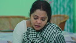 Paluke Bangaramayana S01 E788 Hasini's Painful Promise