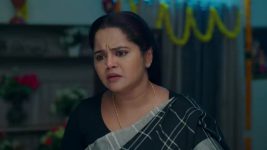 Paluke Bangaramayana S01 E810 A Stunner for Hasini