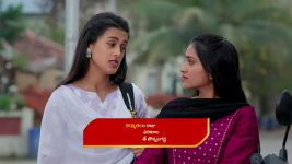 Podarillu S01 E74 Shailu's Plan Misfires