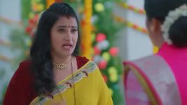 Salangai Oli (Zee Tamil) S01 E356 11th March 2026