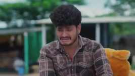 Salangai Oli (Zee Tamil) S01 E374 21st March 2026