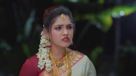 Salangai Oli (Zee Tamil) S01 E379 24th March 2026