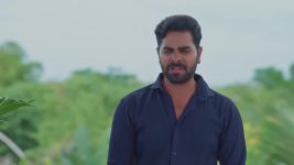 Salangai Oli (Zee Tamil) S01 E382 25th March 2026