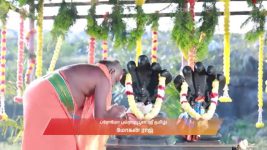 Varisu (Zee Tamil) S01 E192 11th February 2026