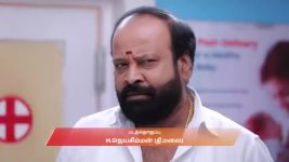 Varisu (Zee Tamil) S01 E197 17th February 2026
