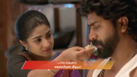 Chinnan Siru Kiliye S01 E185 3rd April 2026