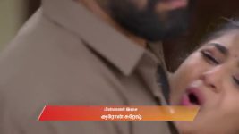 Chinnan Siru Kiliye S01 E193 16th April 2026